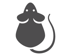 Mice Icon