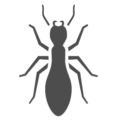 Termite Icon