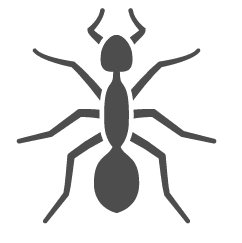 Ant Icon