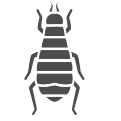 Flea Icon