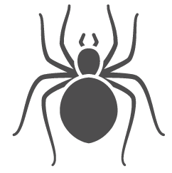 Spider Icon